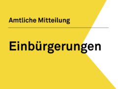 Teaser_Einbuergerungen.png