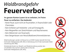 260806_Waldbrand.jpg